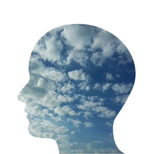 © Pixabay. Ce que l'on a appris à propos du système réticulé-activateur, des schémas de pensées et de la conscience.