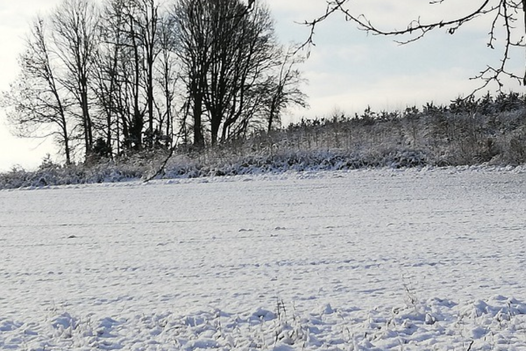 2 von 12: Landschaft im Schnee