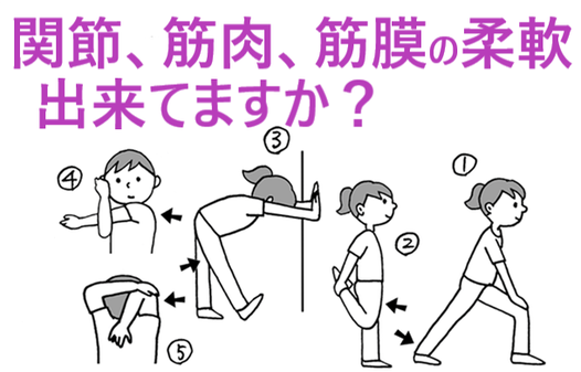 腰痛・肩こり予防の関節、筋肉、筋膜の柔軟