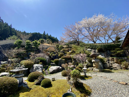 中庭に流れる山水のせせらぎを聴いていると時空を超えたような感覚にも‥
