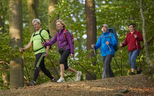 Foto:Sportler beim Nordic Walking durch den Wald