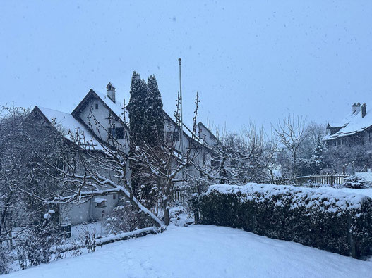 (Bild: buebikernews)