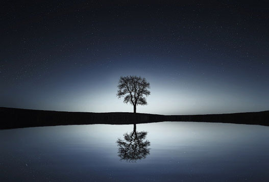 Bild von Bess Hamiti auf Pixabay.