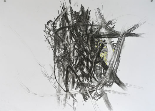 Wildwuchs 1, Zeichnung Kohle/Pastellkreide auf Papier, 70x100 cm, 2024