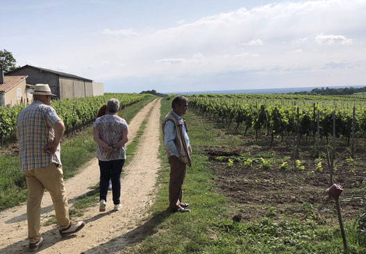 offres oenotouristiques, chambres d'hôtes visite et dégustation Bordeaux, vendanges, adoption de rang de vigne, vigneron d'un jour