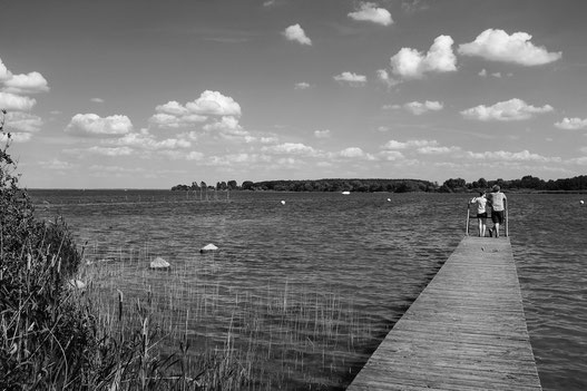 Mecklenburgische Seenplatte, Müritz, Schwarz-Weiss, Müritz-Rundweg, Wandern, Radfahren, Monocrome, Fotokunst, Kreative Fotografie, Minimalismus