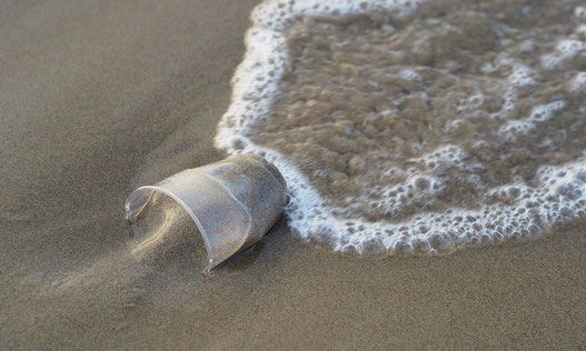 The most polluted ocean in the world