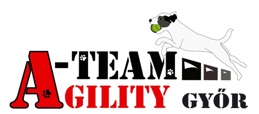 Agility Győr