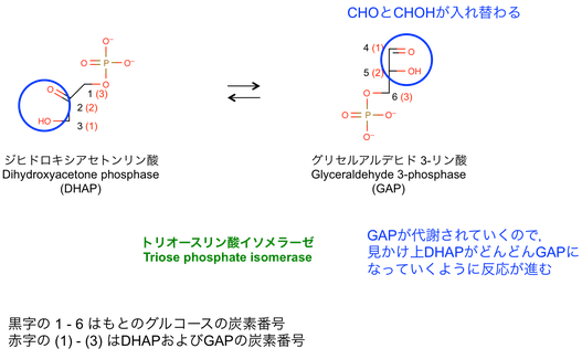 解糖系 GlycolysisReferences