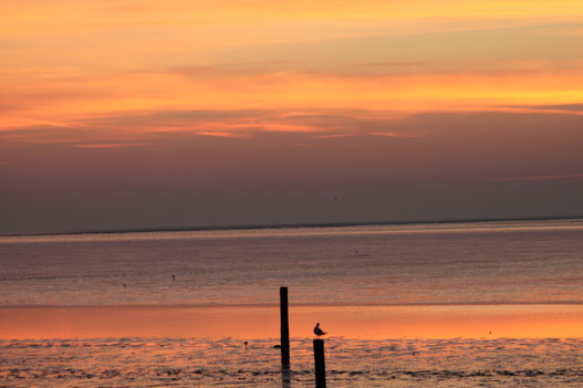 Sonnenuntergang Meer in Norddeich Ferienwohnung Kuhl
