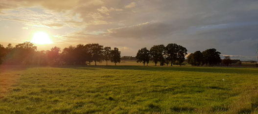 Panoramablick über die flache Landschaft des Tecklenburger Landes