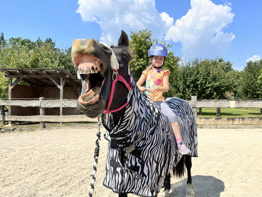 Ponykerstin - Huf-Workshop