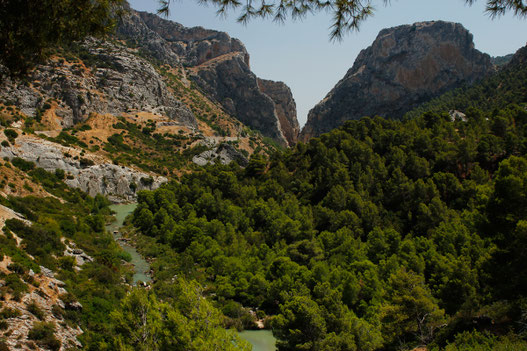 Flusstal am Caminito del Rey, Natur in Andalusien, Naturorte, Naturwunder Südspanien