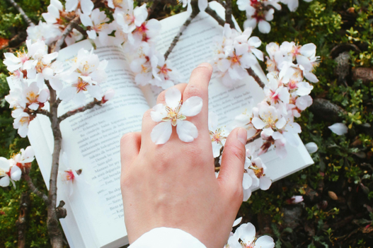 ページがめくられた本の上に置かれた桜の小枝。桜の花びらに手をのばす。