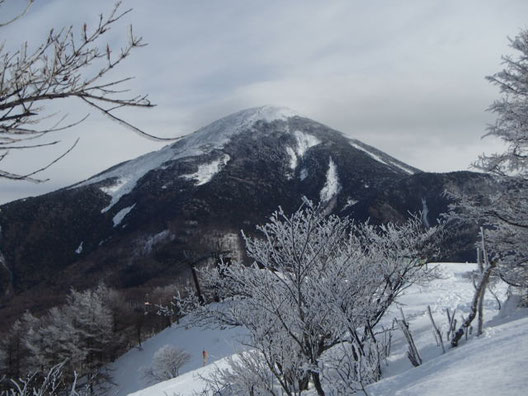 八子ヶ峰　スノーシュー　ガイド