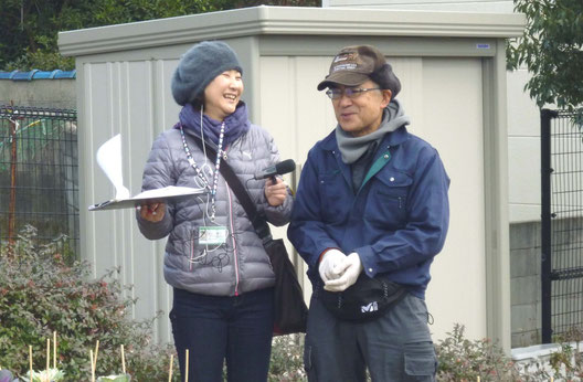 “葉ボタン花壇”でタッキー記者の取材を受ける「みのお園芸ファーム」代表の上田さん