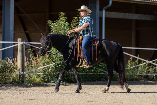 Pferdefotografie Hoensbroech