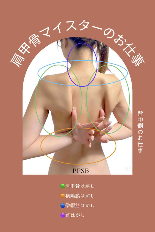 PPSBメソッドによる美しい背中