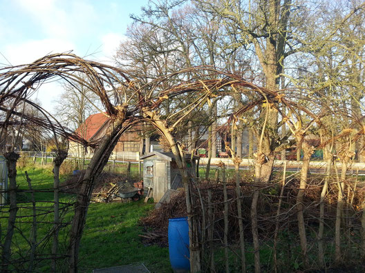 Der Eingang zum Garten: Sehr lange 3jährige Weidentriebe wurden zu einem "Kunstwerk" geflochten und zusammengebunden.