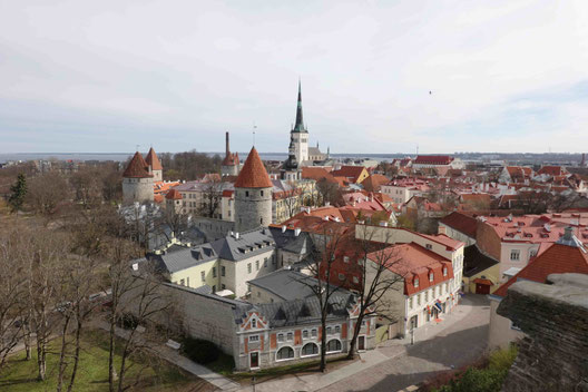 Altstadt von Tallinn vom Patkuli Aussichtspunkt