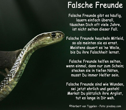 Erst Wenn Sich Ein Freund Plotzlich Gegen Einen Stellt Merkt Man Dass Es Keine Wahre Freundschaft War Berndjoergihlefeldts Webseite