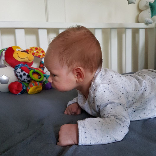 Dean 3,5 weken oud en al knap een tijdje zijn hoofd omhoog kunnen houden