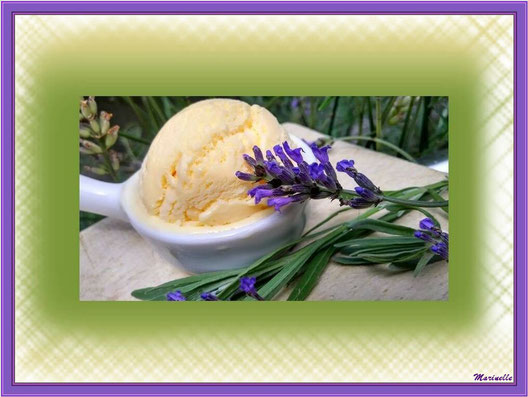 Glace à la lavande du jardin