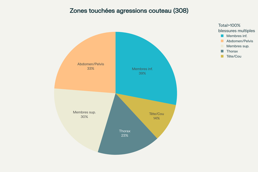 Zones touchées agressons couteau