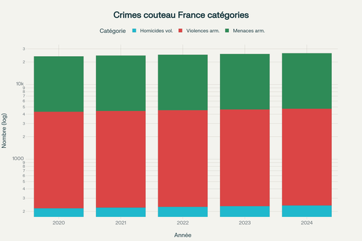 Répartition des différents types de crimes au couteau en France par catégorie juridique, démontrant l'ampleur réelle du phénomène