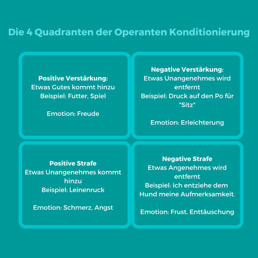 Vier Quadranten der Operanten Konditionierung