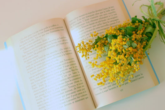 ページが開かれた本の上に置かれたミモザの花束。