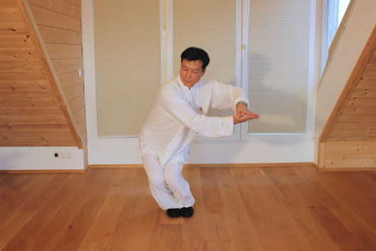 Qi Gong Studio Zhang Wien