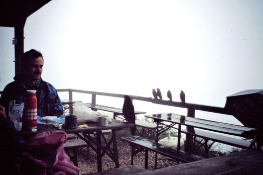 Wanderung Schellenberger Eishöhle, Nebel, Berchtesgaden