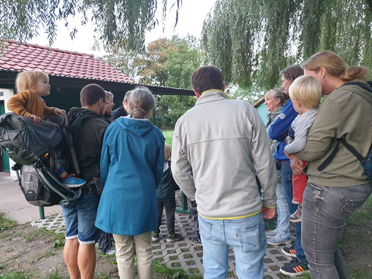 Erläuterungen zu den Fledermäusen für die Kids u. die Erwachsenen. Foto ©M.A. Bopp