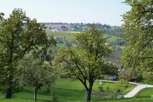 Herrlicher Blick auf Scharten.