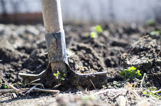 Earth, Shovel, Shiatsu
