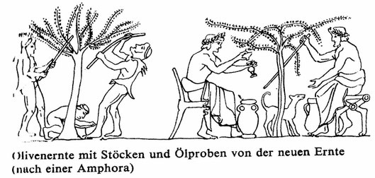 Antike Olivenernte