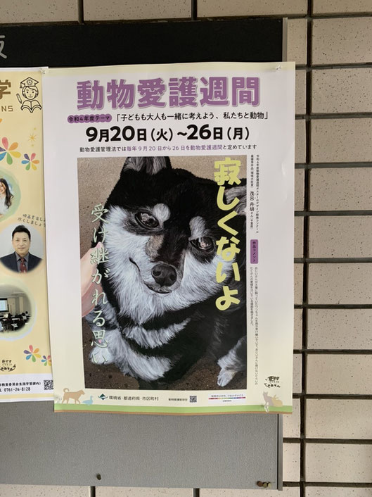 動物愛護週間/9/20~9/26 - 川崎順次(かわさきじゅんじ 動物愛護週間/9/20~9/26 - 川崎順次(かわさきじゅんじ