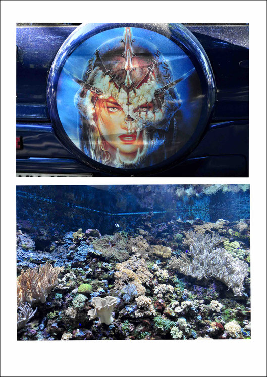 Spare tyre covered with airbrush motive depicting a female warrior in Berlin-Britz | Tropical fish in a reef tank at COEX Aquarium in Seoul
