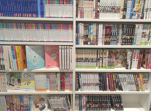 通りがかりに見つけたかわいい本屋。コミックのコーナーは日本のマンガで埋め尽くされていた。