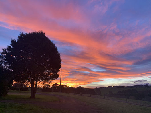 The incredible cold evening skies.