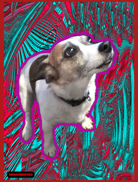 ABSTRACT DAISY DOG PRINT FOR SALE EBAY