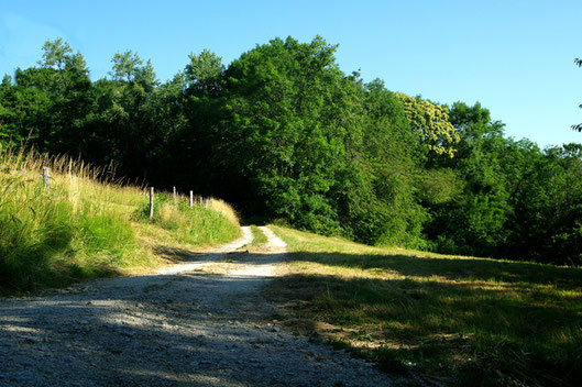 chemin cavalier le mollard 73