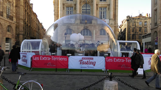 Ephemeral bubble, Place de la Bourse, Bordeaux