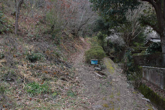 住宅街を抜けると里山のさんぽ道の入口だ