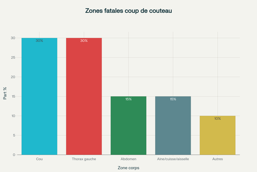 Zones du corps où un coup de couteau unique peut être fatal