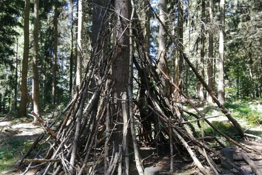 3 von 12: Zum Tipi aufgestellte Äste