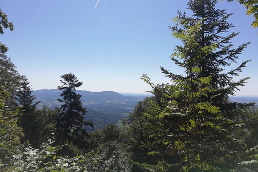 5 von 12: Ausblick vom Gessingerstein