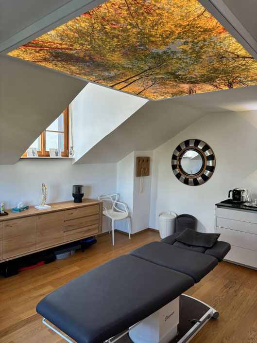 Physiobasel Santewell Praxis, Physiotherapeuten in Basel