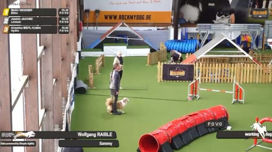 Hundesportplatz mit Agility-Hindernissen und zwei Personen mit Hunden auf grünem Kunstrasen